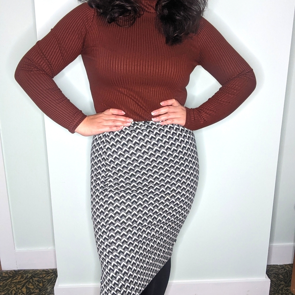 American Apparel Ponte Pencil Skirt